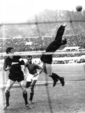 21feb65b.jpg