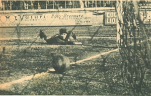 9feb47b.jpg