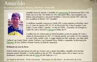 Una scheda su Amarildo