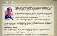 Una scheda su Amarildo