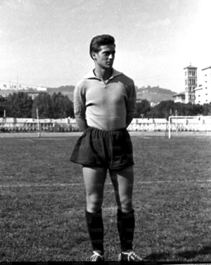 ColettaAlfiero1.jpg