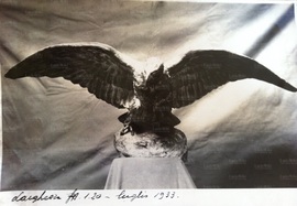 Aquila in bronzo scolpita da Galileo Massa (Luglio 1933)