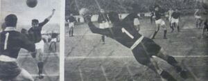 Lm10.jpg