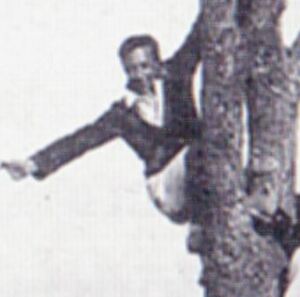 Mengarini2.jpg