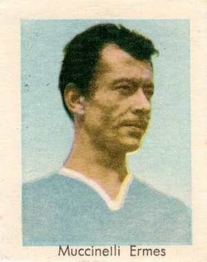 Muccinelli figu3.jpg