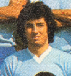 CeccarelliGiancarlo4.jpg