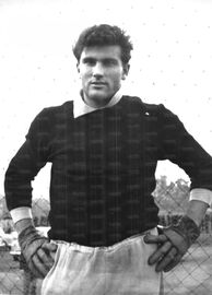 Idilio Cei