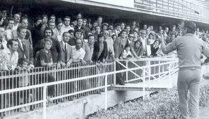 Cont maestrelli71.jpg