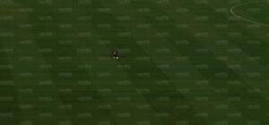Aq3.jpg