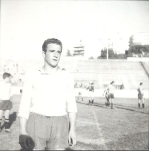 Renato Palombini2.jpg