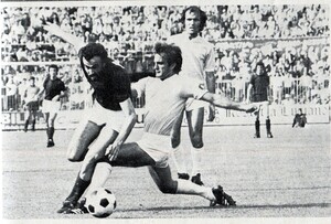 Bologna7374 (13).jpg