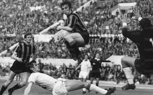 Marcello geppetti54.jpg