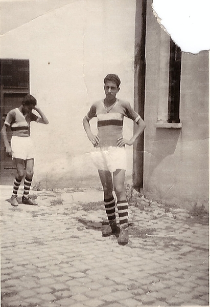 File:MoscaGiovanile2.jpg