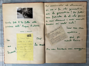 FDNST - C7, S1, F34.jpg