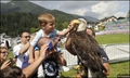 Un bimbo accarezza il rapace
