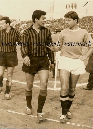 21feb65Fascetti.jpg