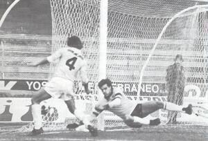 Ascoli83ab.jpg