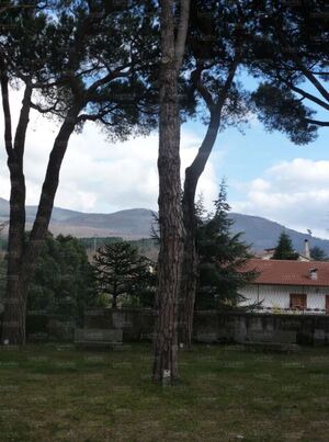 Rotellini mario (5).JPG