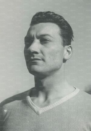 Serafino Montanari.jpg