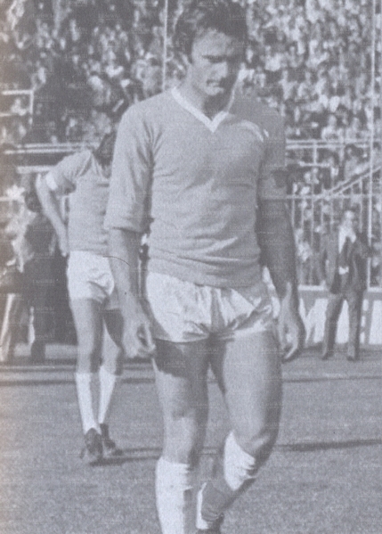 File:Wilson pensieroso74.jpg