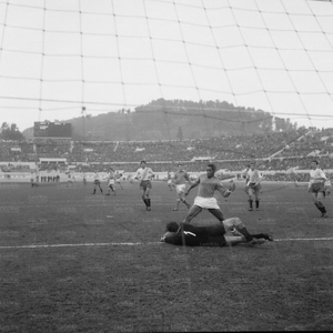Napoli6566e.jpg