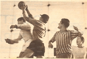 2feb64e.jpg