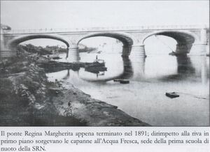 Ponte margherita.jpg