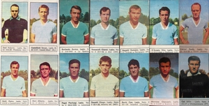 196667.jpg