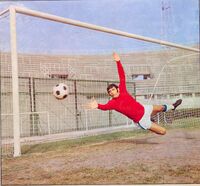 Di Vincenzo in allenamento