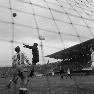 Spal6566b.jpg