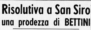 Trafi.jpg