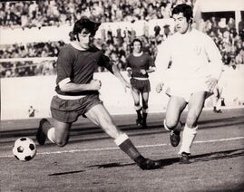 Manservisi in azione (sullo sfondo Polentes)