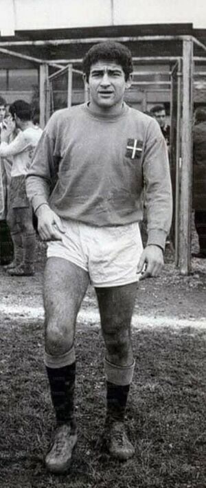 GarlaschelliComo2.jpg