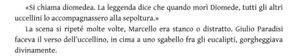 Masini cardinale 2.jpg