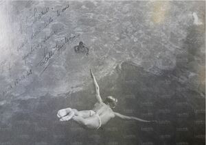 Lilli tuffatore.jpg