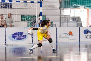 C5 2015-16 Tirelli.jpg