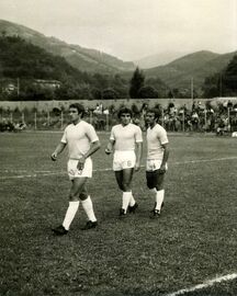 Ghedin, Viola e Wilson