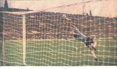 Pulici in azione in un derby