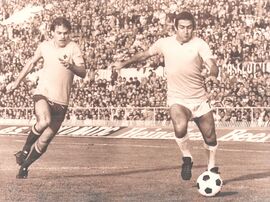 Un'altra immagine di Garlaschelli e Chinellato