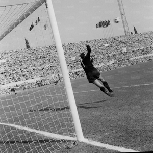 Milan6970b.jpg