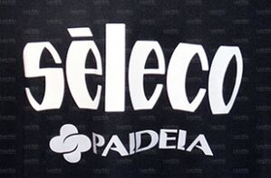 SelecoPaideiaSponsor.jpg