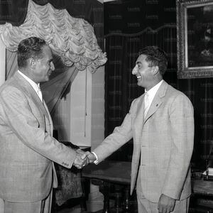 PozzanSiliato.jpg
