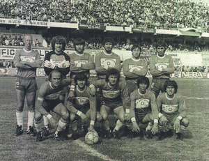 VillaDalmineLabonia.jpg