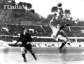Miniatura della versione delle 11:04, 7 nov 2013