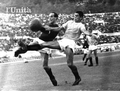 Miniatura della versione delle 09:55, 31 ott 2013