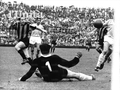 Miniatura della versione delle 15:42, 30 ott 2013