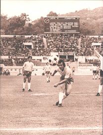 Una conclusione di Vincenzo D'Amico