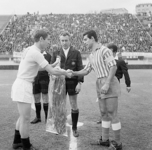 Spal6566.jpg