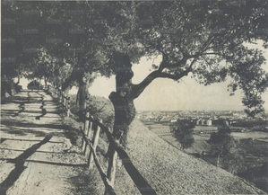 Piazza d'Armi 1929.jpg