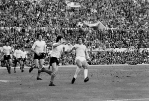 Fiorentina7374b.jpg